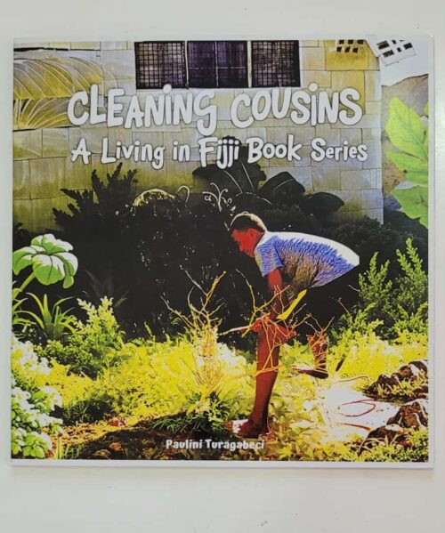 Cleaning Cousins
