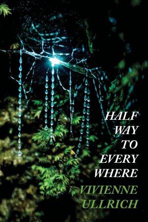 spider web, leaves, jewel