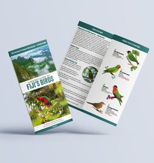 A Pocket Guide to Fiji's Birds